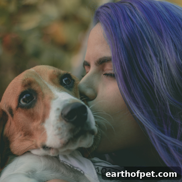 beagle with woman, Dog Breed Personalities That Match Our Own