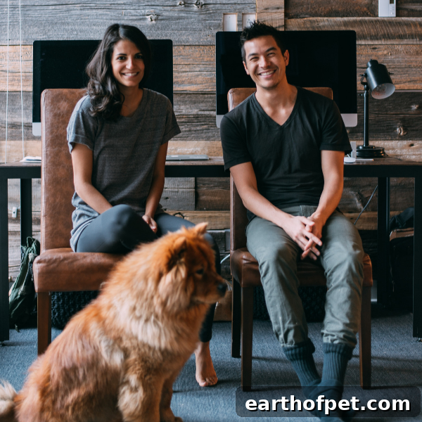 Chow chow with man and woman, Dog Breed Personalities That Match Our Own