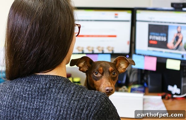 person at desk with dog