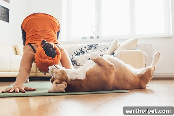 yoga with dog