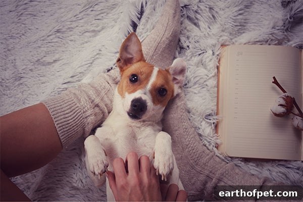 dog snuggling