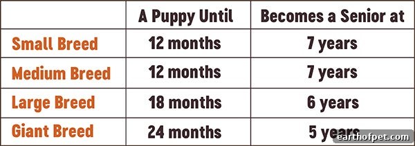 senior pet chart
