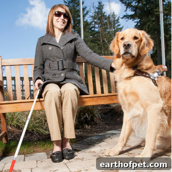 assistance dog