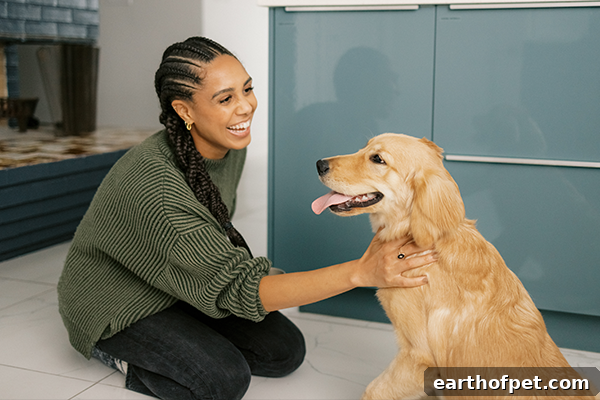 What Is The Best Kibble For Dogs?