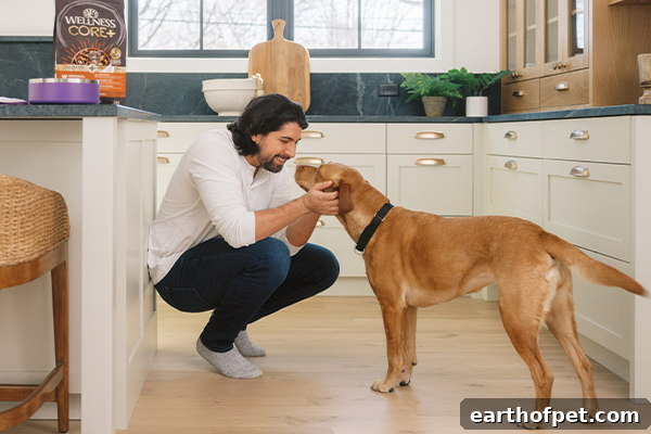 What Is The Best Kibble For Dogs?