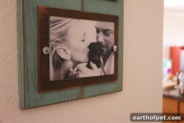 World Pet Memorial Day