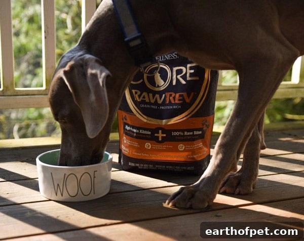 josh rawrev, first time pet owner, core+ for dogs
