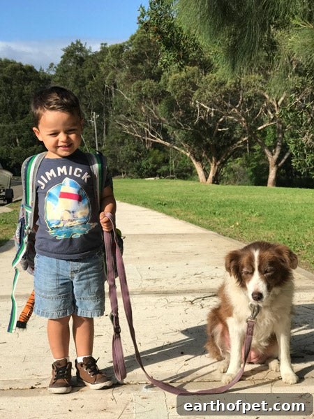 joaquin walk, Pet Ownership Teaches Kids Responsibility