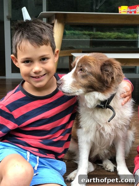federico, Pet Ownership Teaches Kids Responsibility 
