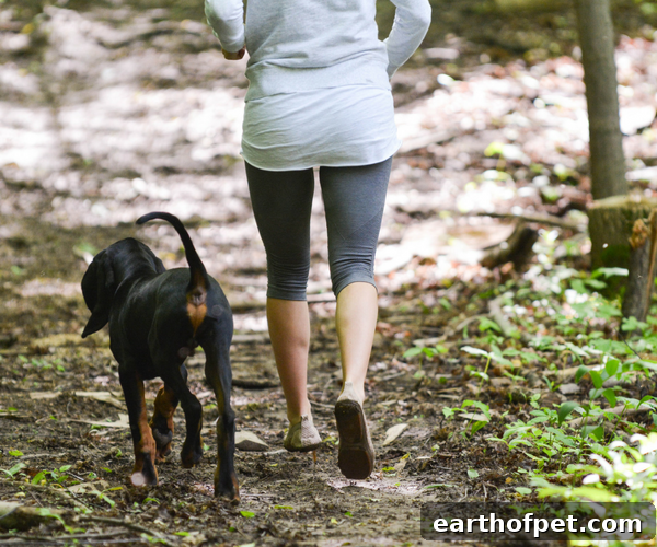 woman running with dog. Wellness pet food. Dog food, best dog food, wet dog food, dry dog food.