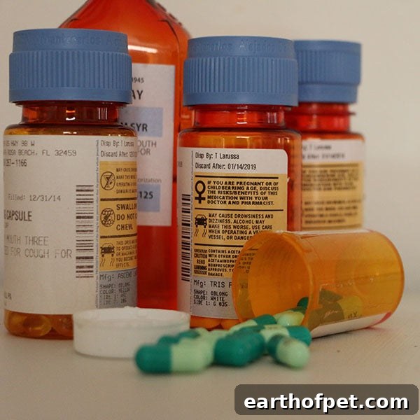 pills, poisoning in dogs 