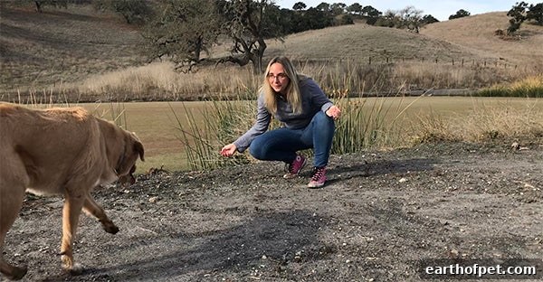 woman training her dog, Choose a Professional Dog Trainer