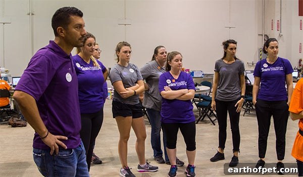 Volunteering for Hurricane Harvey