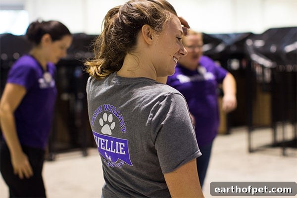 Houston volunteer Hurricane Harvey relief