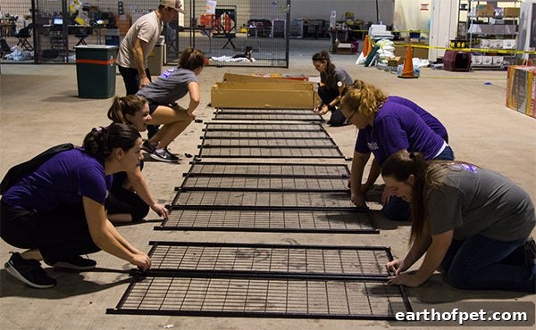 WellPet volunteers building dog runs