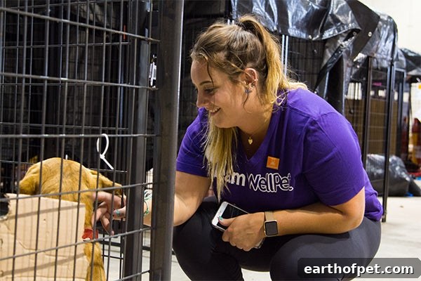 WellPet Houston volunteer