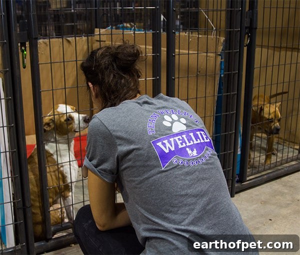 Houston volunteer petting dog