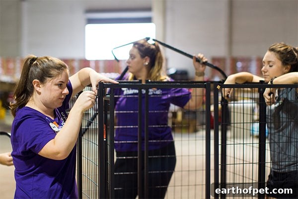 Houston volunteer Hurricane Harvey relief