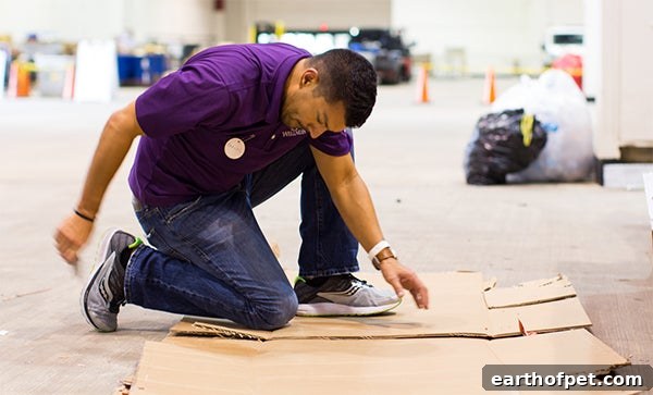 Houston volunteer Hurricane Harvey relief
