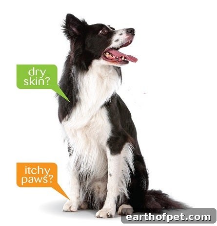 Wellness Simple Dog Limited Ingredient Natural Dog Food