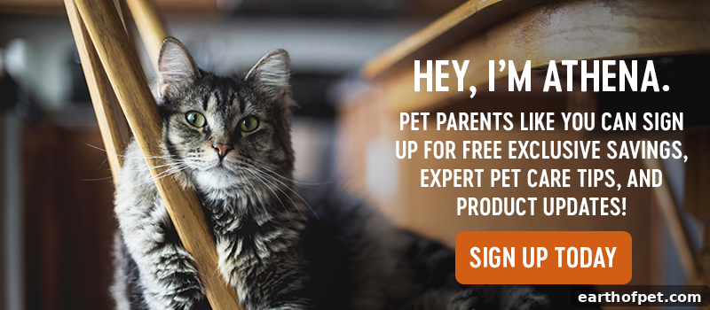 join our community, guide to cat food