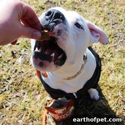 Dog Training With Wellness Natural Treats