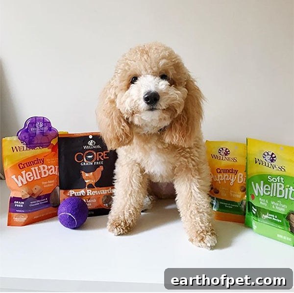 WellBites, dogust, wellness pet food, healthy dog treats, treats for dog, best treats for dog