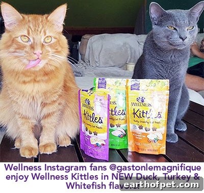 To keep your whiskered-friends happy and healthy on this special day and every day in between, we recommend treating them with a tasty, nutritious snack like Wellness Kittles.
