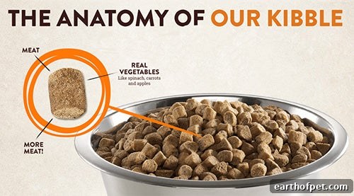 Wellness CORE grain free dry food, Why and How to Transition to Grain-Free Dog Food

Grain free pet foods are becoming increasingly more popular.