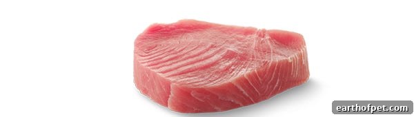 Tuna