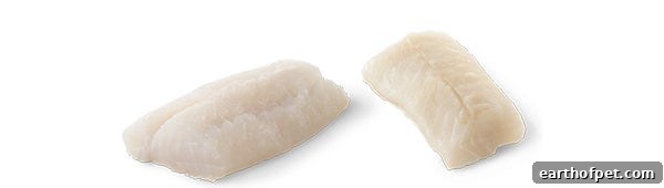 whitefish