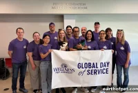 Join Wellness Global Day of Service 2026: One Team, One Mission