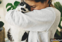 10 Play and Enrichment Ideas to Keep Your Indoor Cat Active